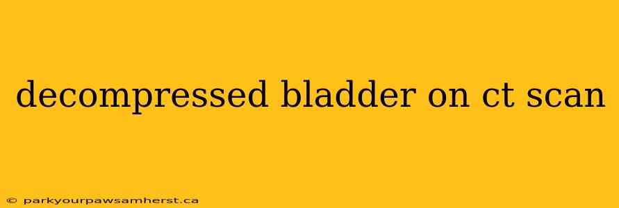 decompressed bladder on ct scan