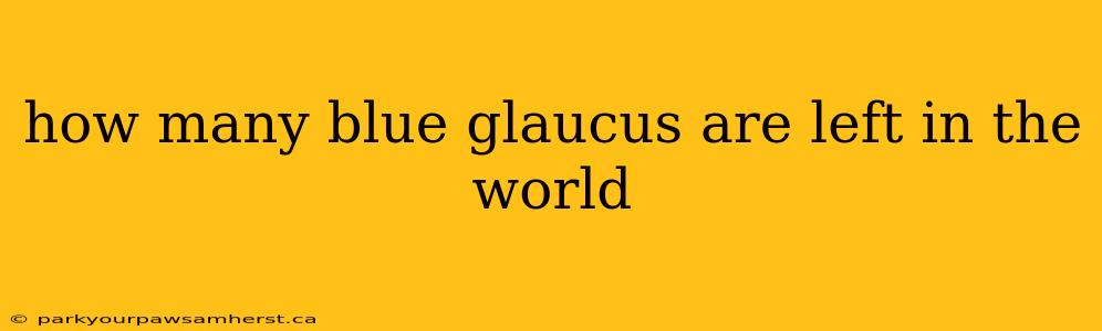 how many blue glaucus are left in the world