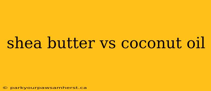 shea butter vs coconut oil